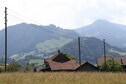 Vakantiehuis Uitzicht zomer