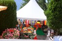 Vakantiehuis Tuin zomer