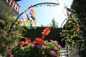 Vakantiehuis Tuin zomer