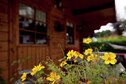 Vakantiehuis Tuin zomer