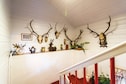 Vakantiehuis Overloop