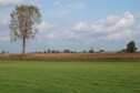 Vakantiehuis Directe omgeving (zomer) (<1 km)
