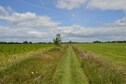 Vakantiehuis Directe omgeving (zomer) (<1 km)