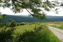 Vakantiehuis Directe omgeving (zomer) (<1 km)