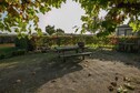 Vakantiehuis Directe omgeving (zomer) (<1 km)