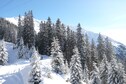 Vakantiehuis Directe omgeving (winter) (<1 km)