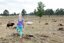 Vakantiehuis Omgeving (zomer) (1-5 km)