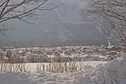 Vakantiehuis Exterieur winter