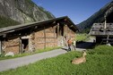 Vakantiehuis In de regio (zomer) (>5 km)