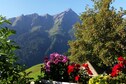 Vakantiehuis Exterieur zomer