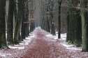 Vakantiehuis Omgeving (zomer) (1-5 km)