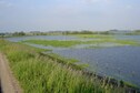 Vakantiehuis In de regio (zomer) (>5 km)