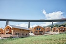 Steinach XL