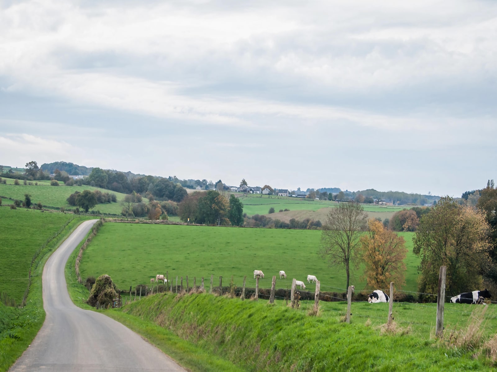 De omgeving van Durbuy