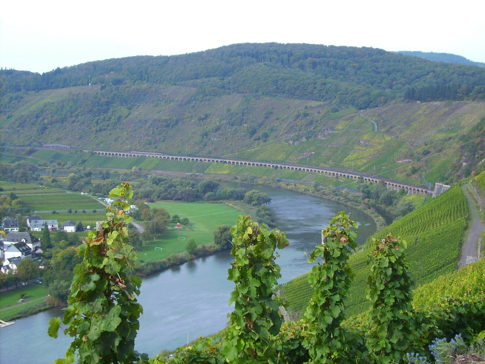 De omgeving van Zell (Mosel)