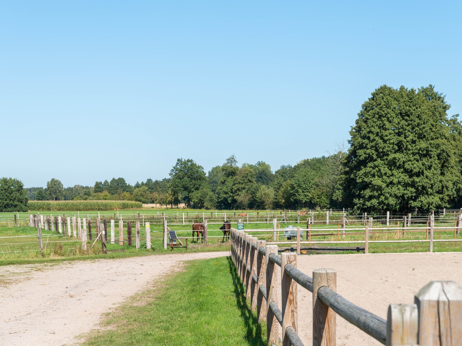 De omgeving van Eschede
