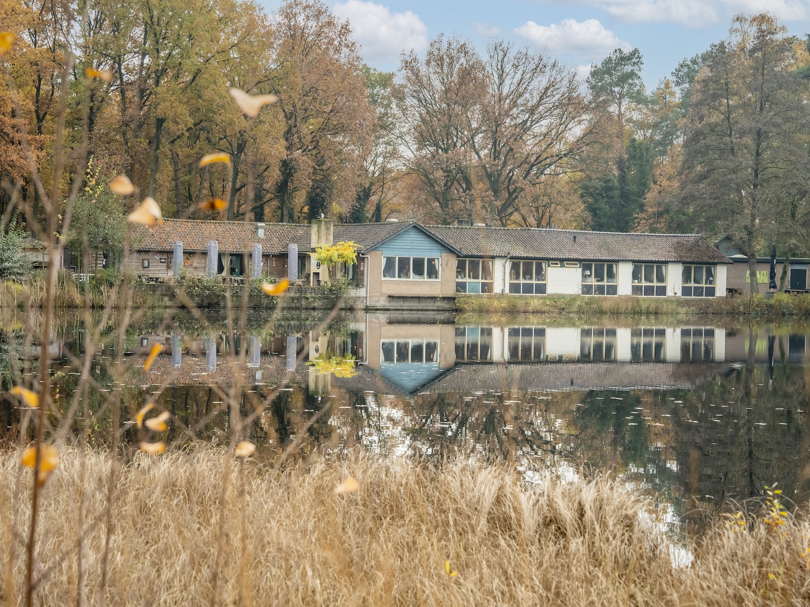 De omgeving van Stramproy