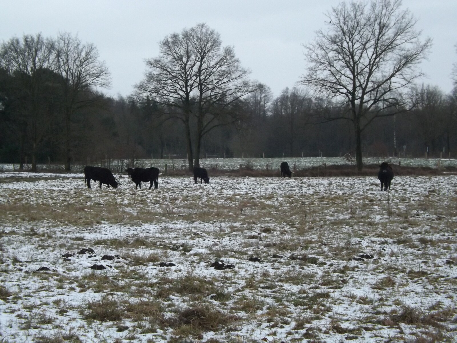 De omgeving van Stramproy