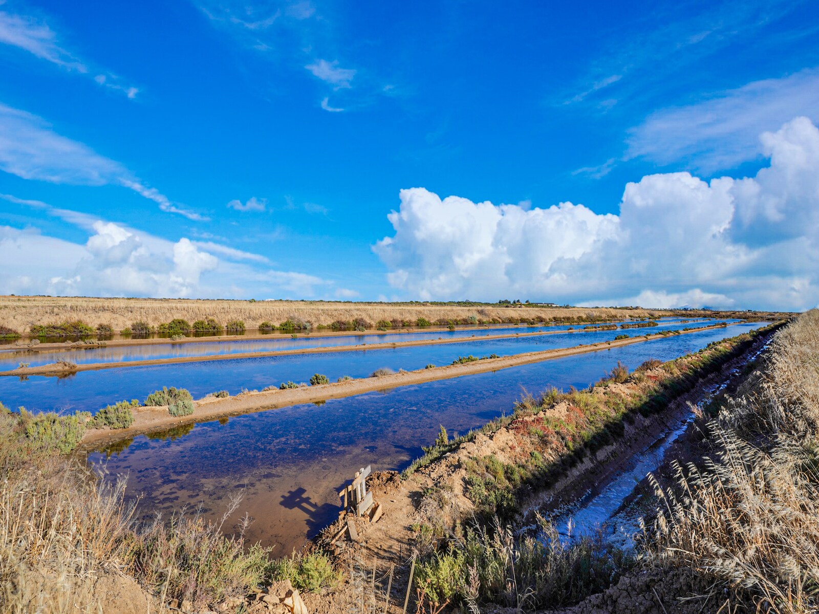 De omgeving van Tavira