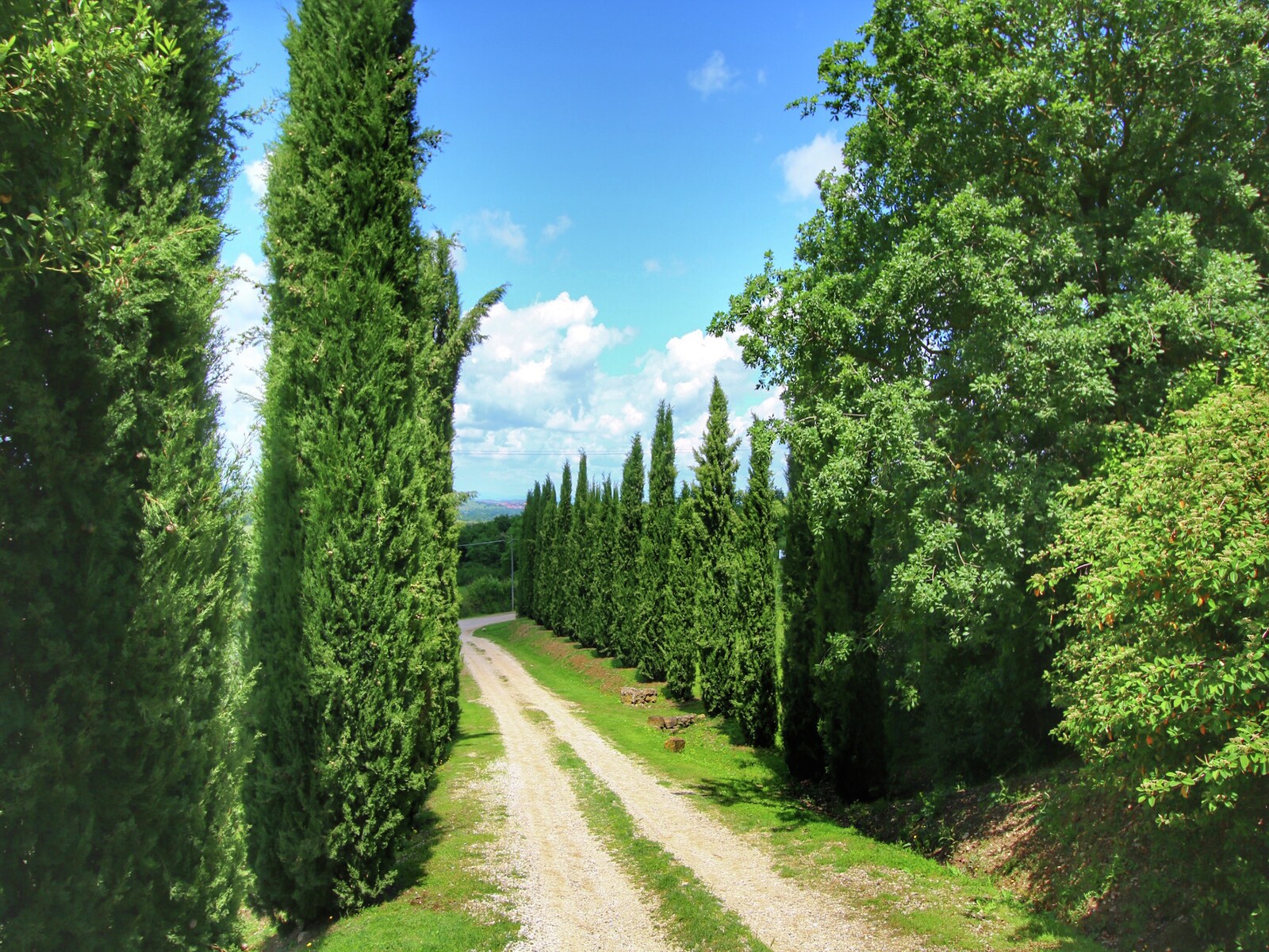 De omgeving van Castiglione d'Orcia