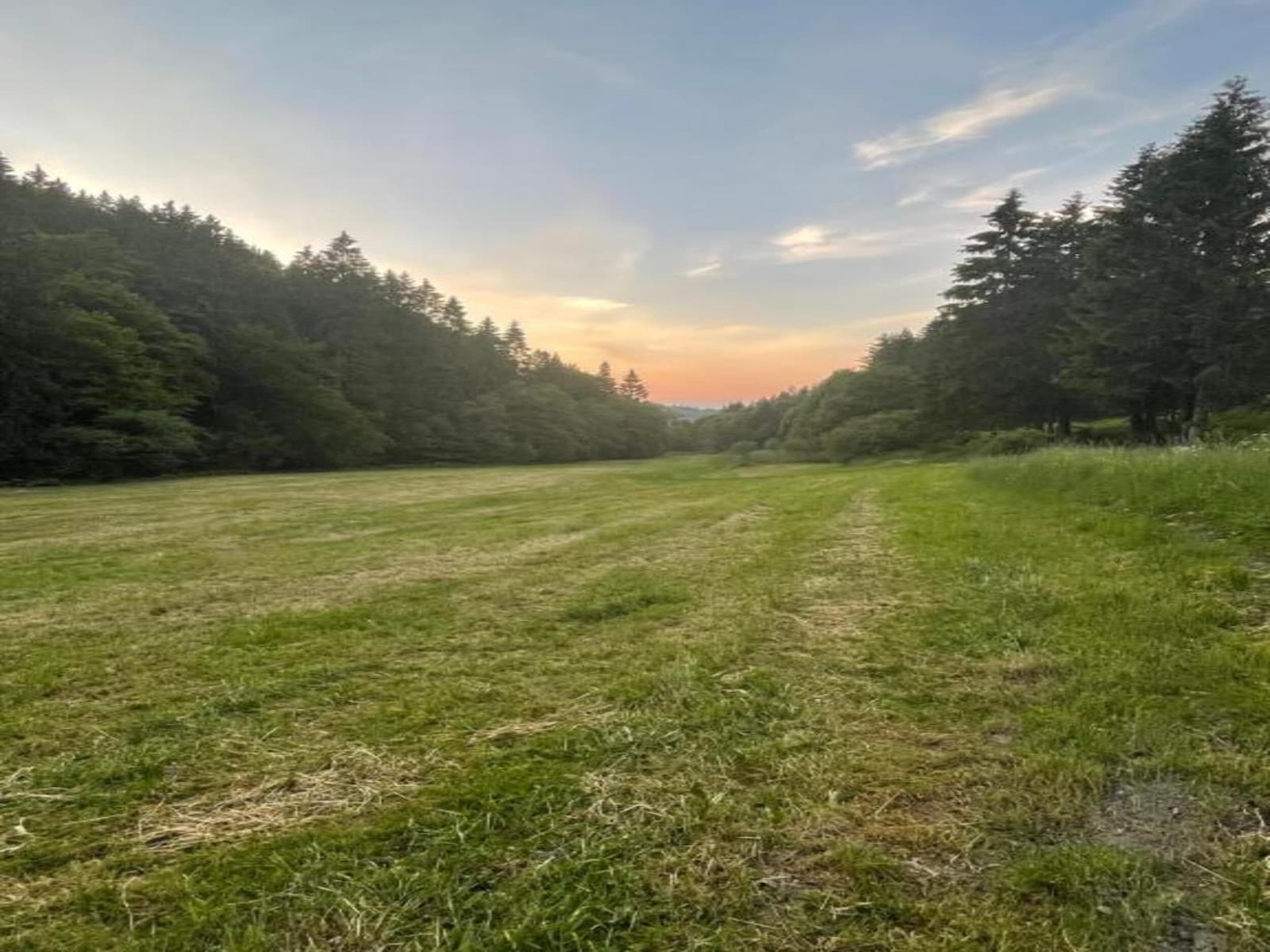 De omgeving van Willingen