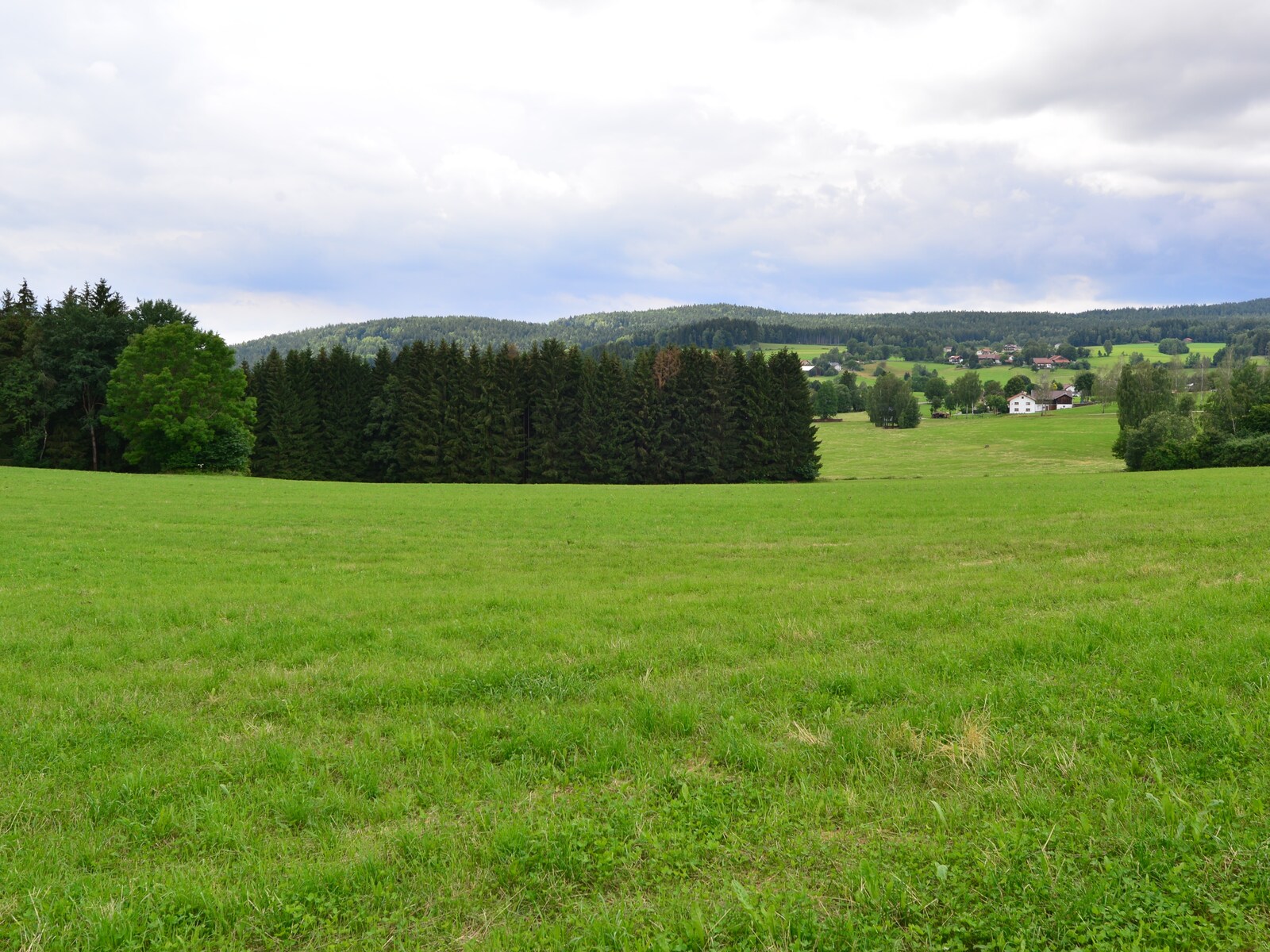 De omgeving van Viechtach