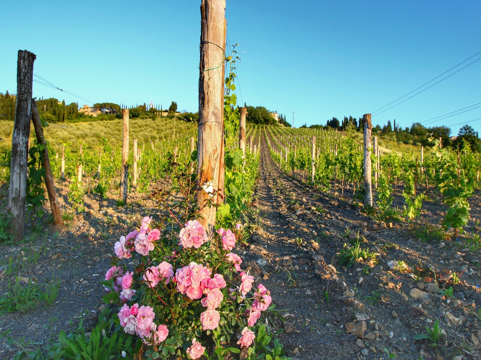 De omgeving van Radda in Chianti