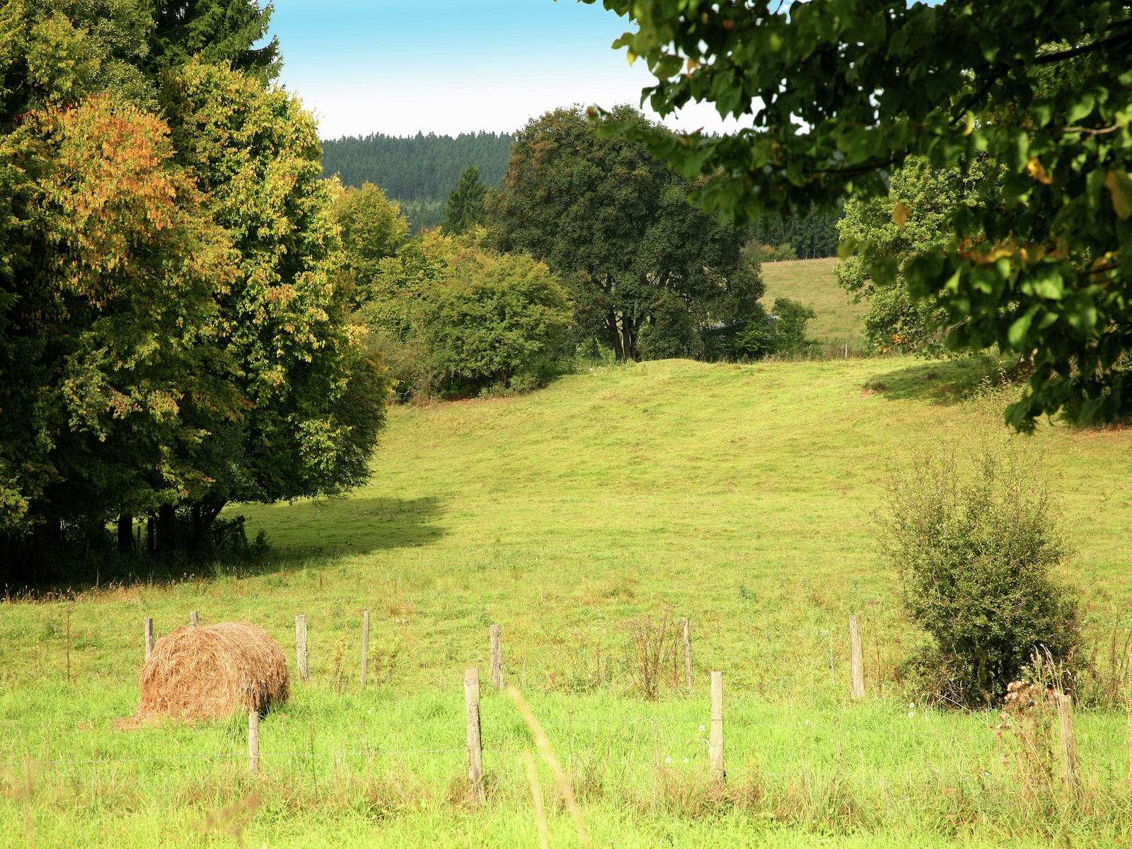 De omgeving van Oignies-en-Thierache
