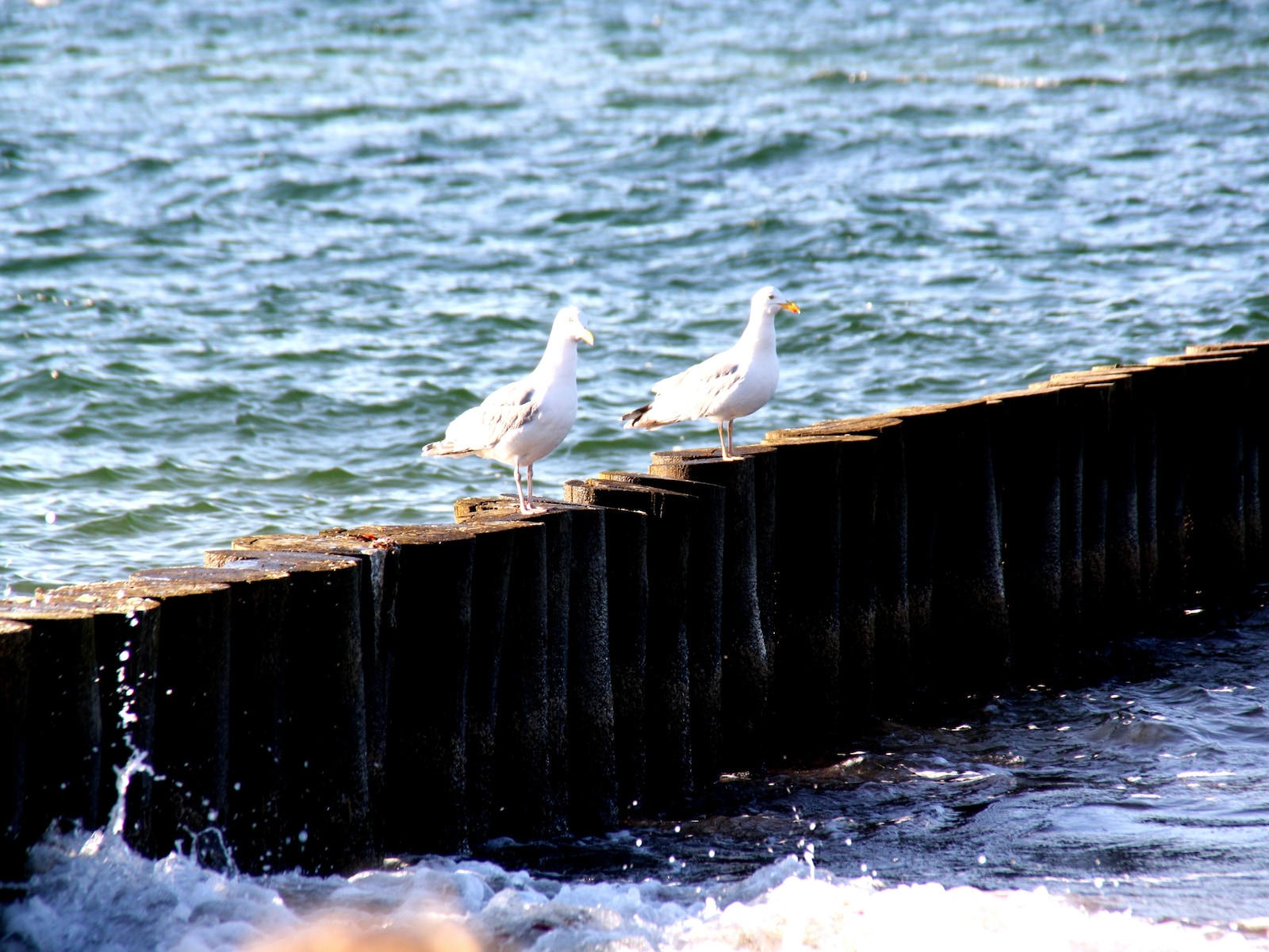 De omgeving van Ostseebad Rerik