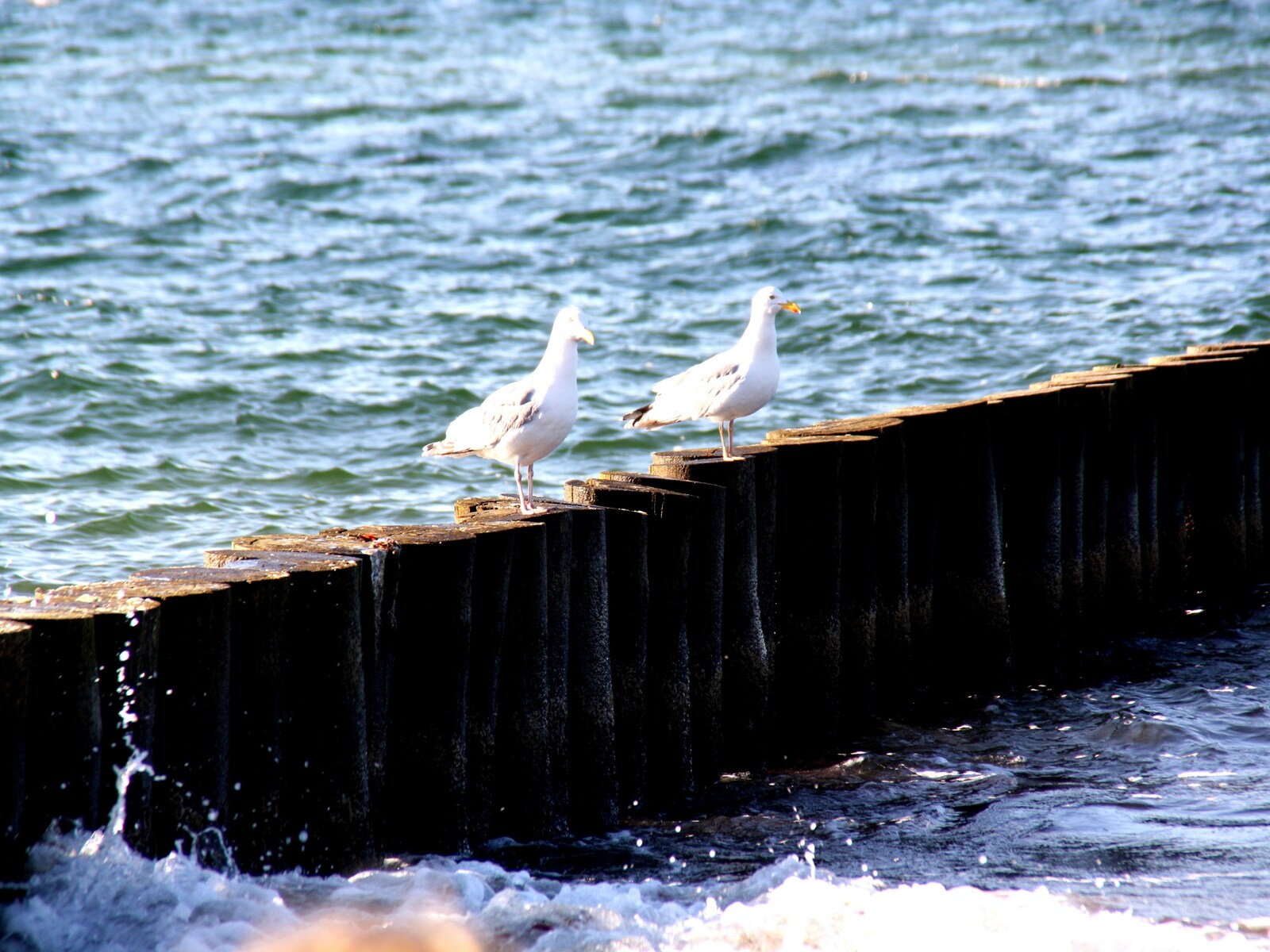 De omgeving van Wismar