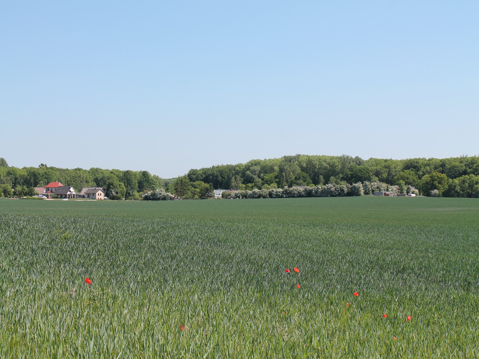 De omgeving van Ostseebad Boltenhagen