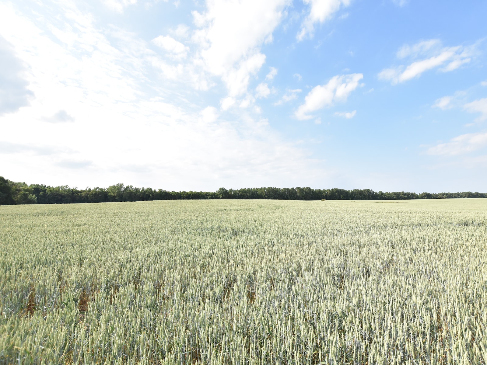 De omgeving van Barlin