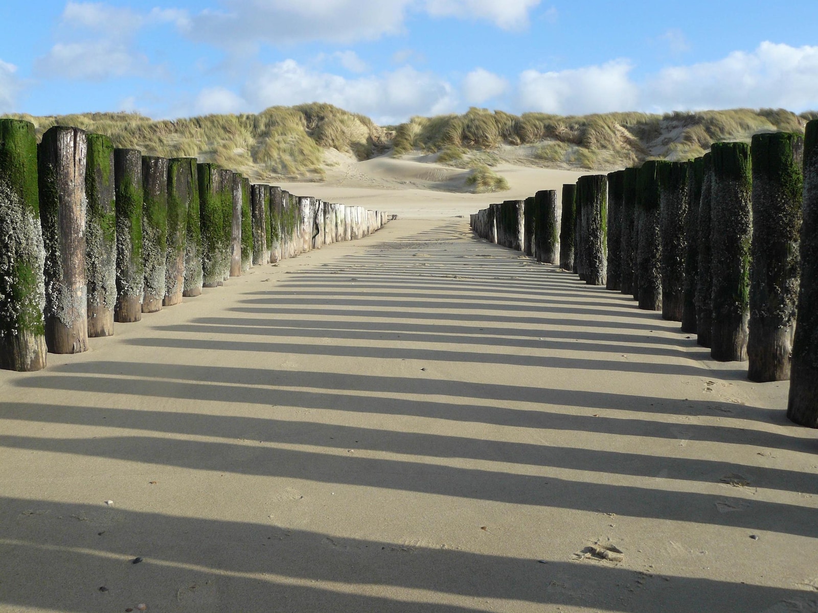 De omgeving van Cadzand-Bad