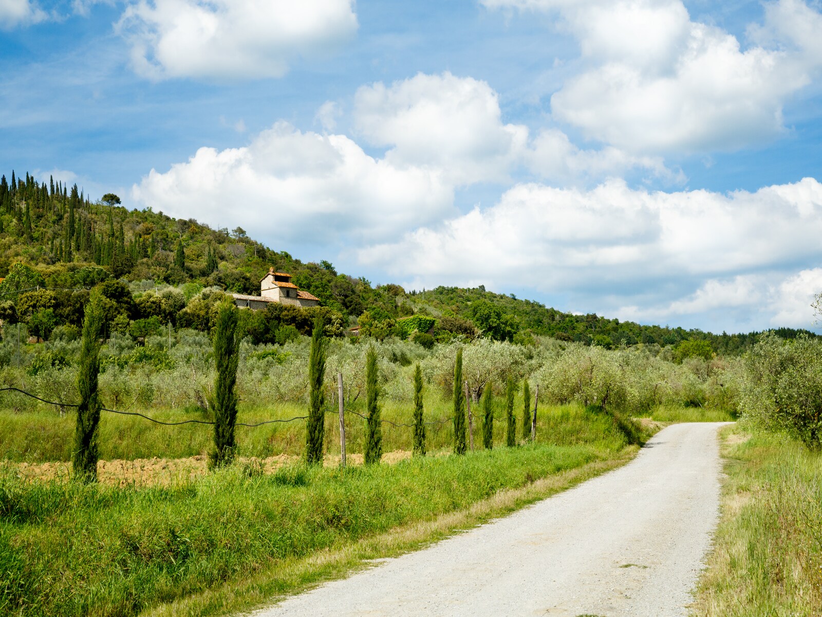 De omgeving van Cortona