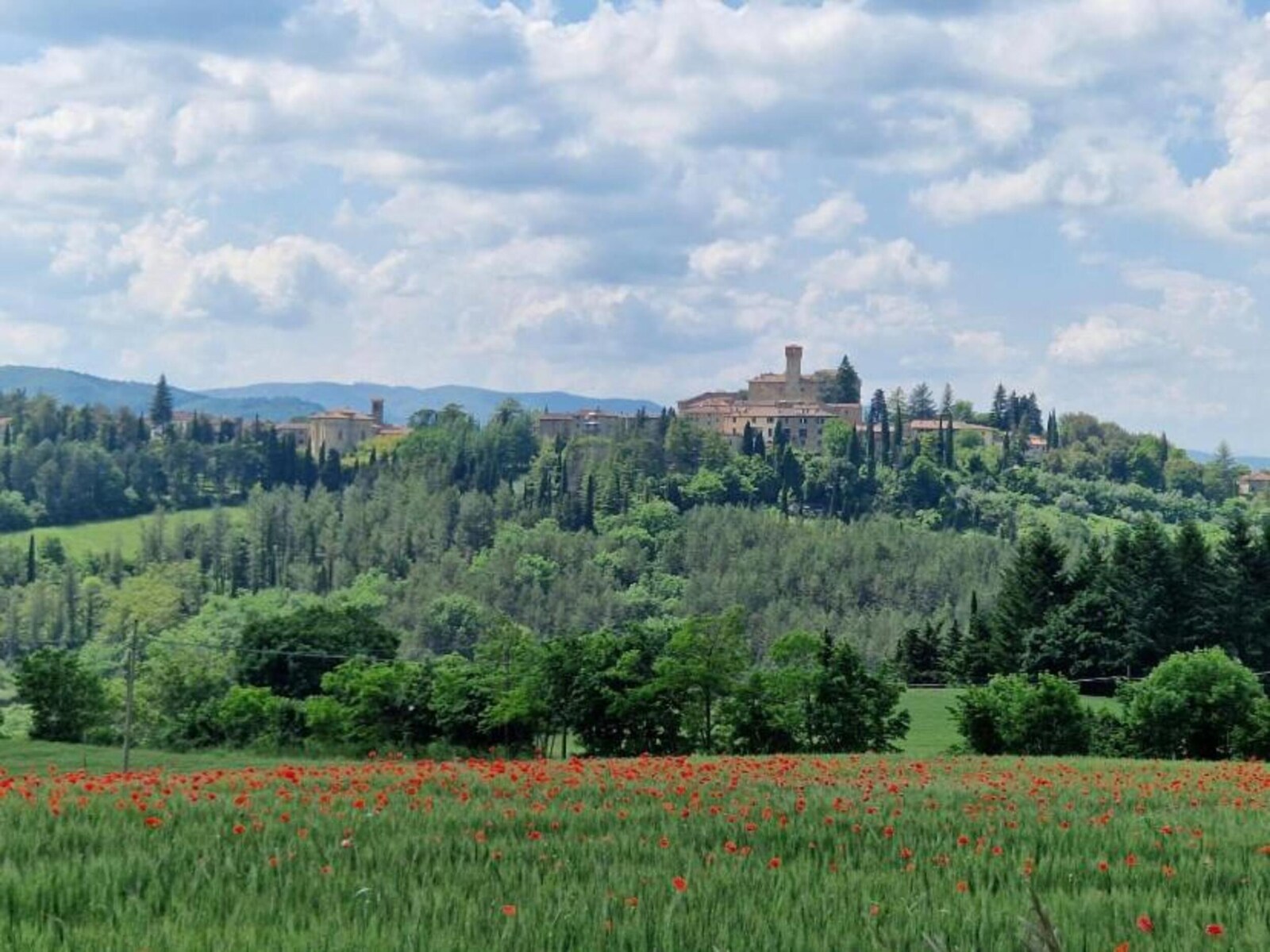 De omgeving van Città di Castello
