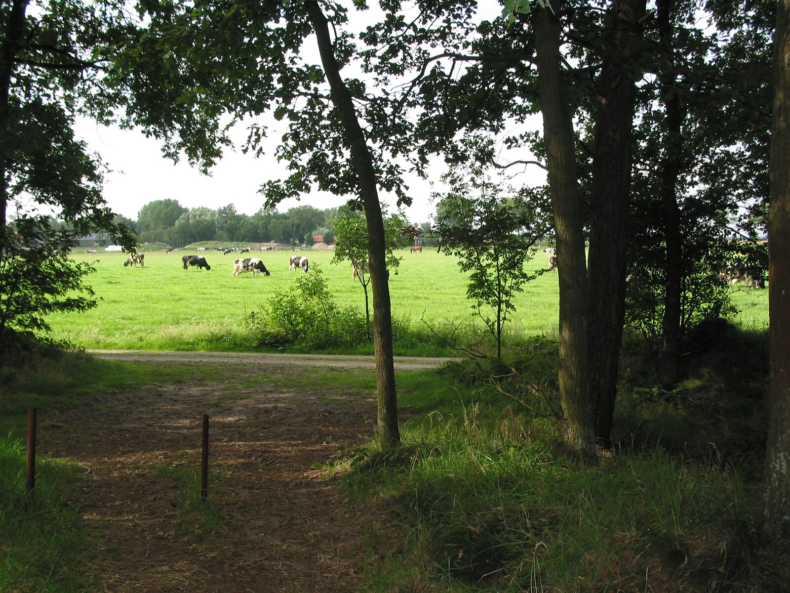 De omgeving van Herpen