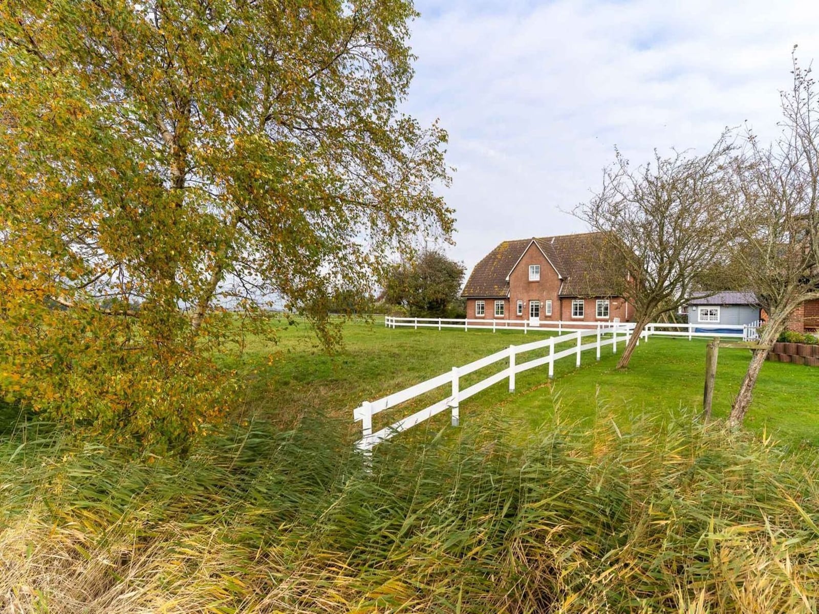 De omgeving van Tönning