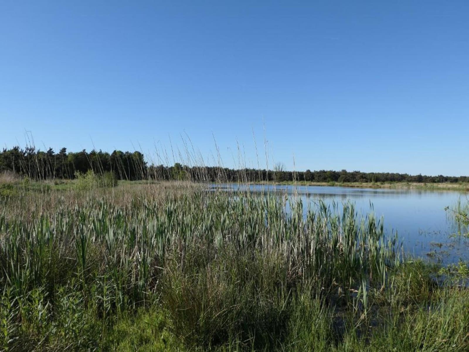 De omgeving van Hoge Hexel