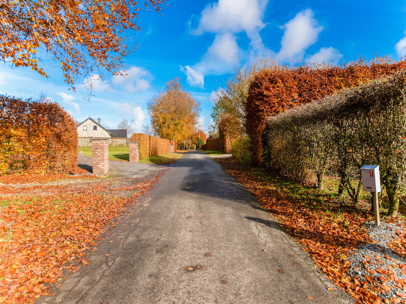 De omgeving van Sourbrodt