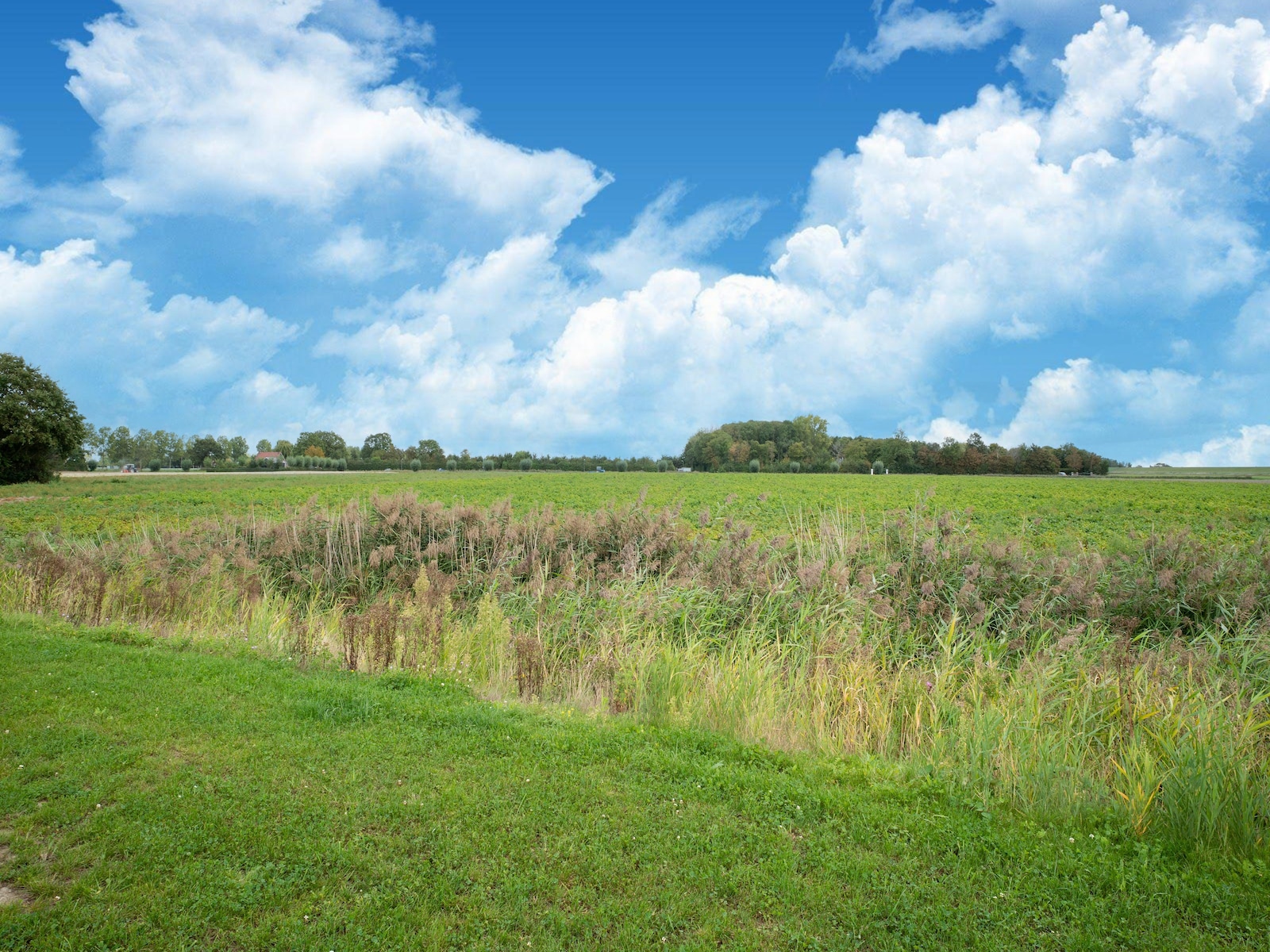 De omgeving van Scherpenisse