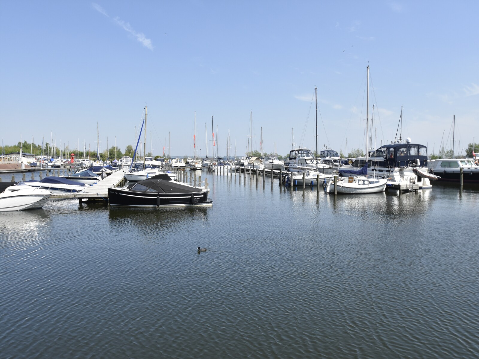 De omgeving van Zeewolde