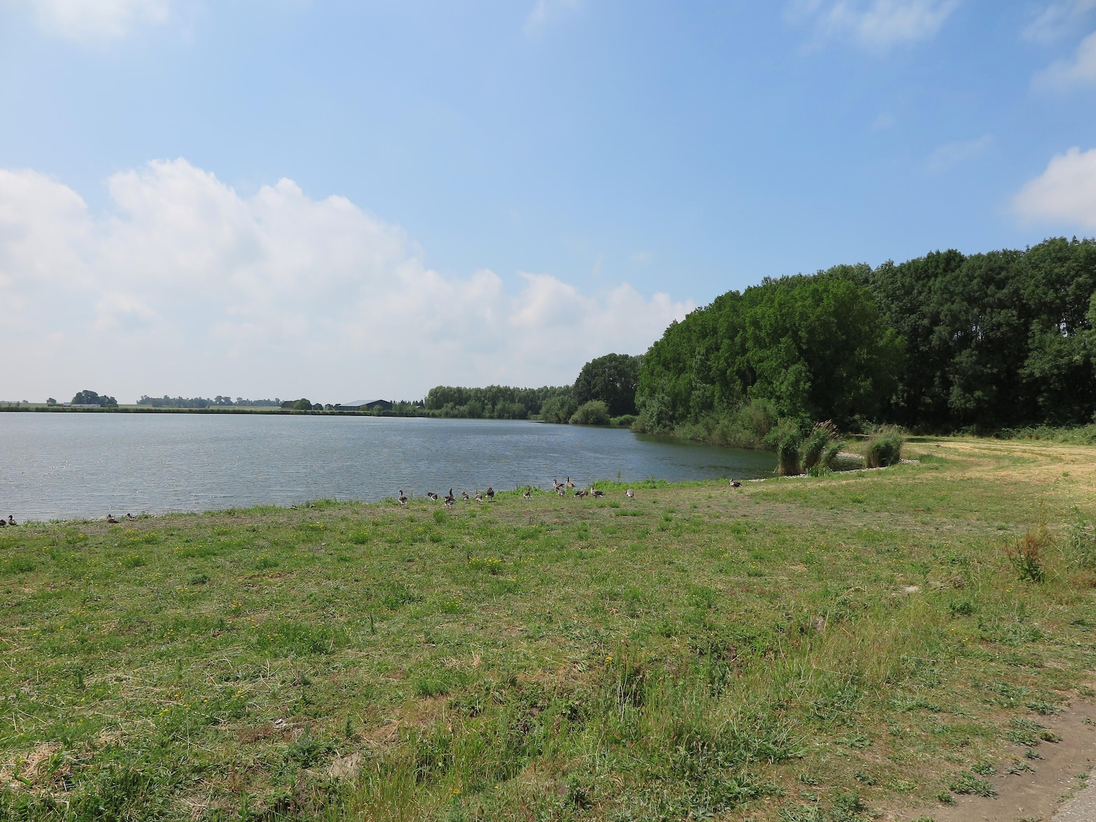 De omgeving van Simonshaven