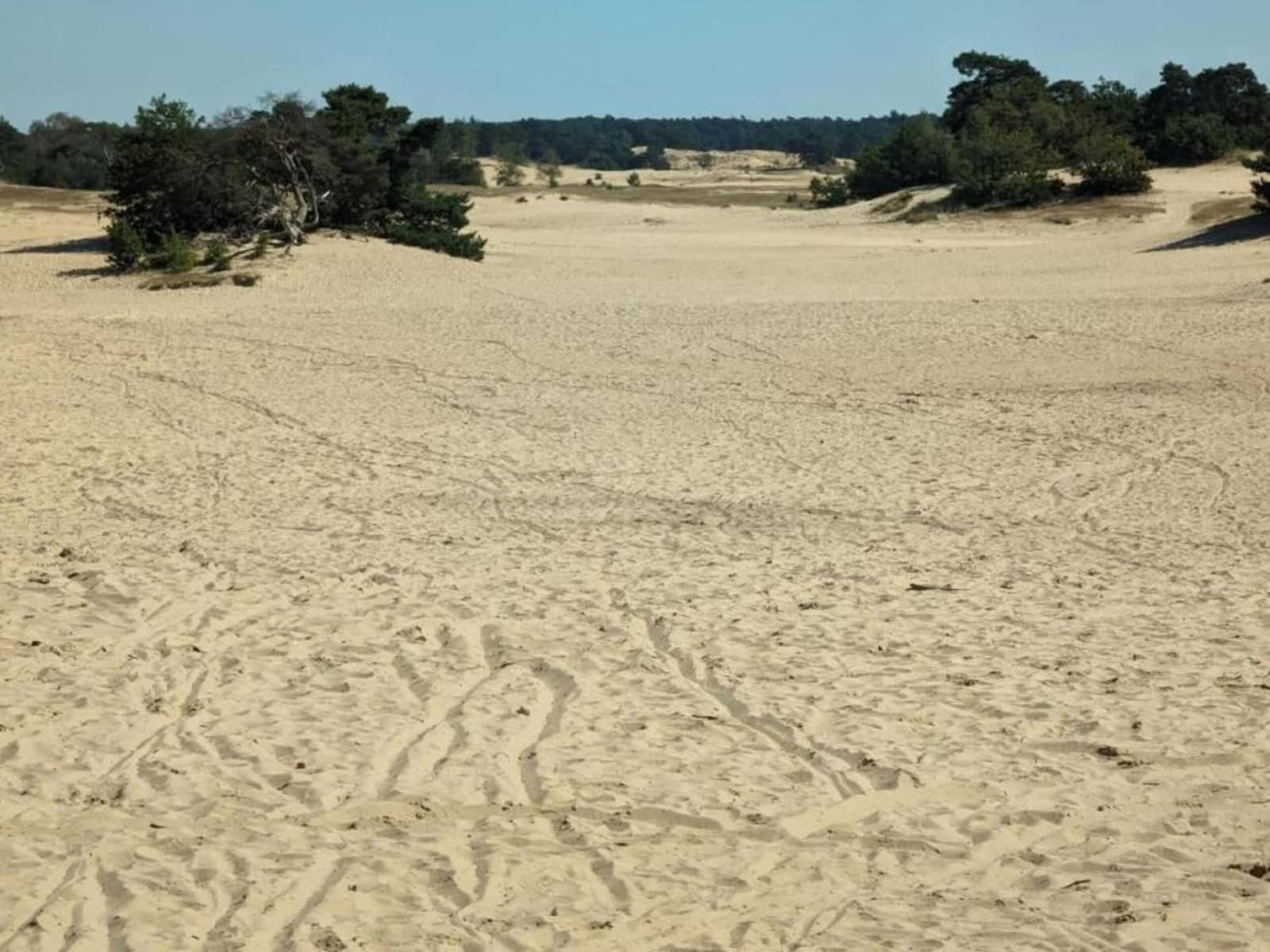 De omgeving van Voorthuizen