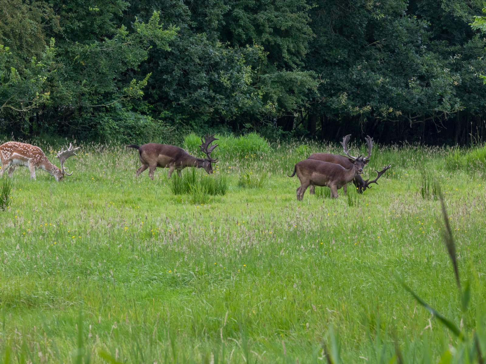 De omgeving van Oostkapelle