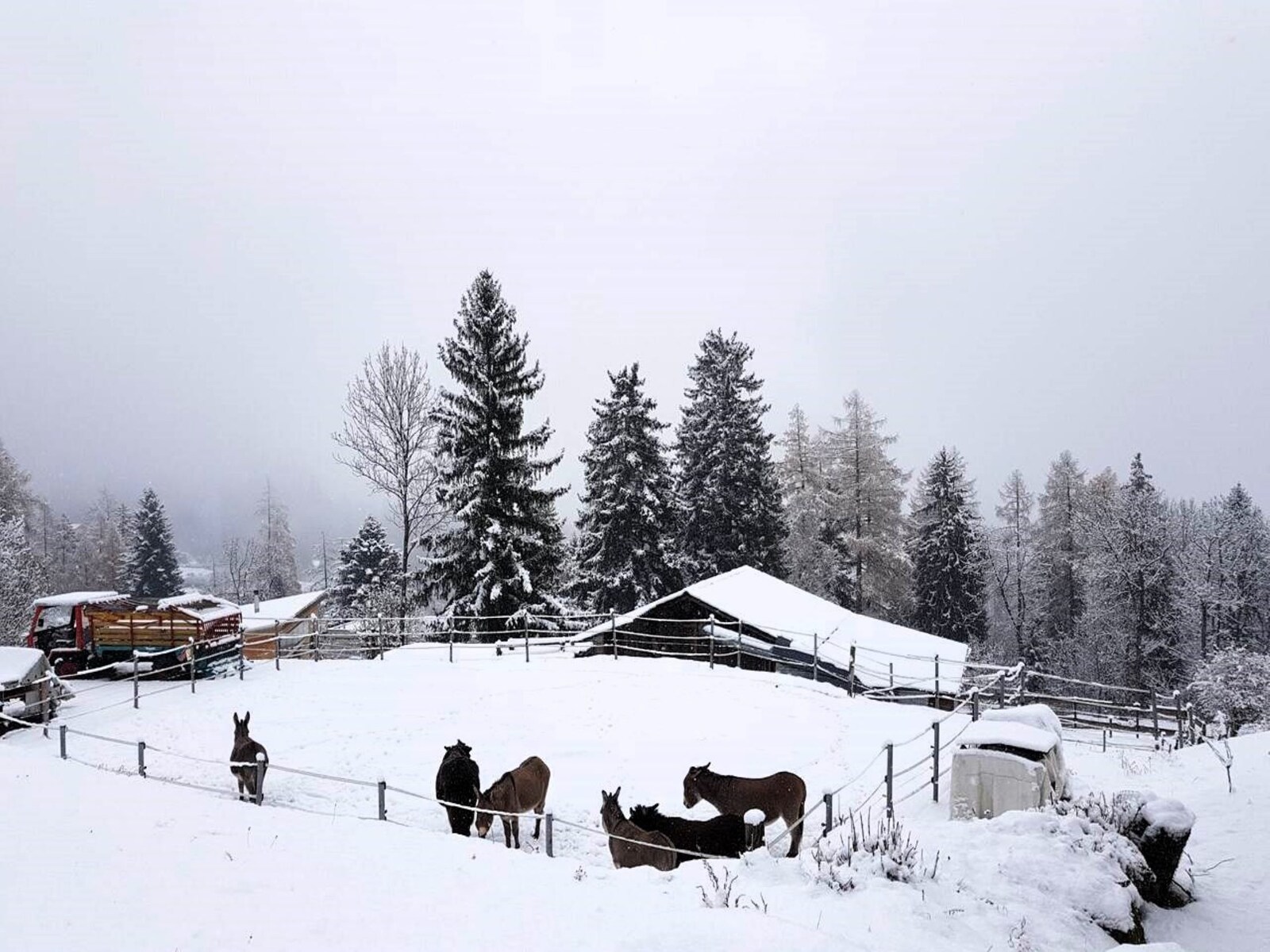 De omgeving van Fiesch