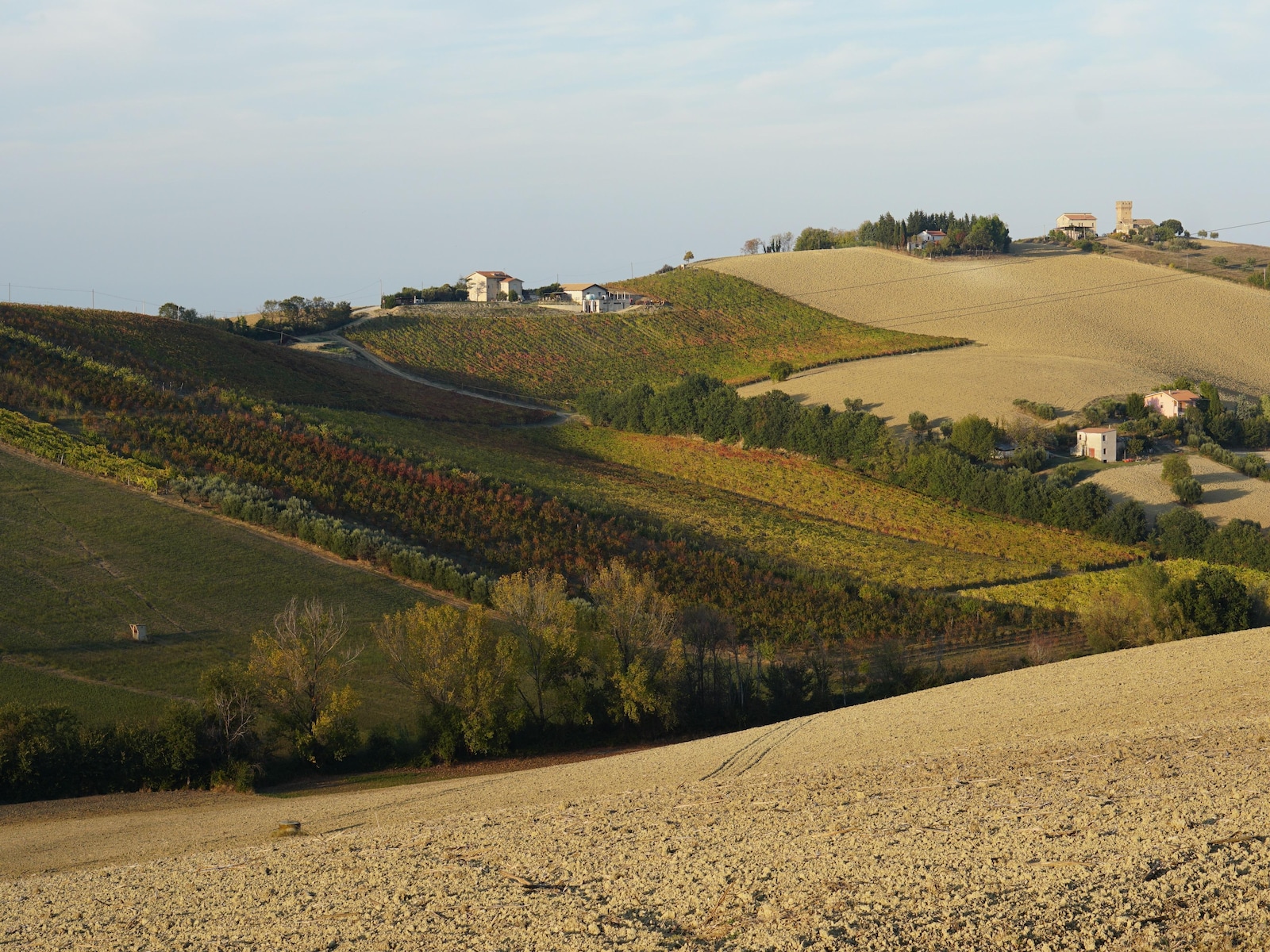 De omgeving van Fermo