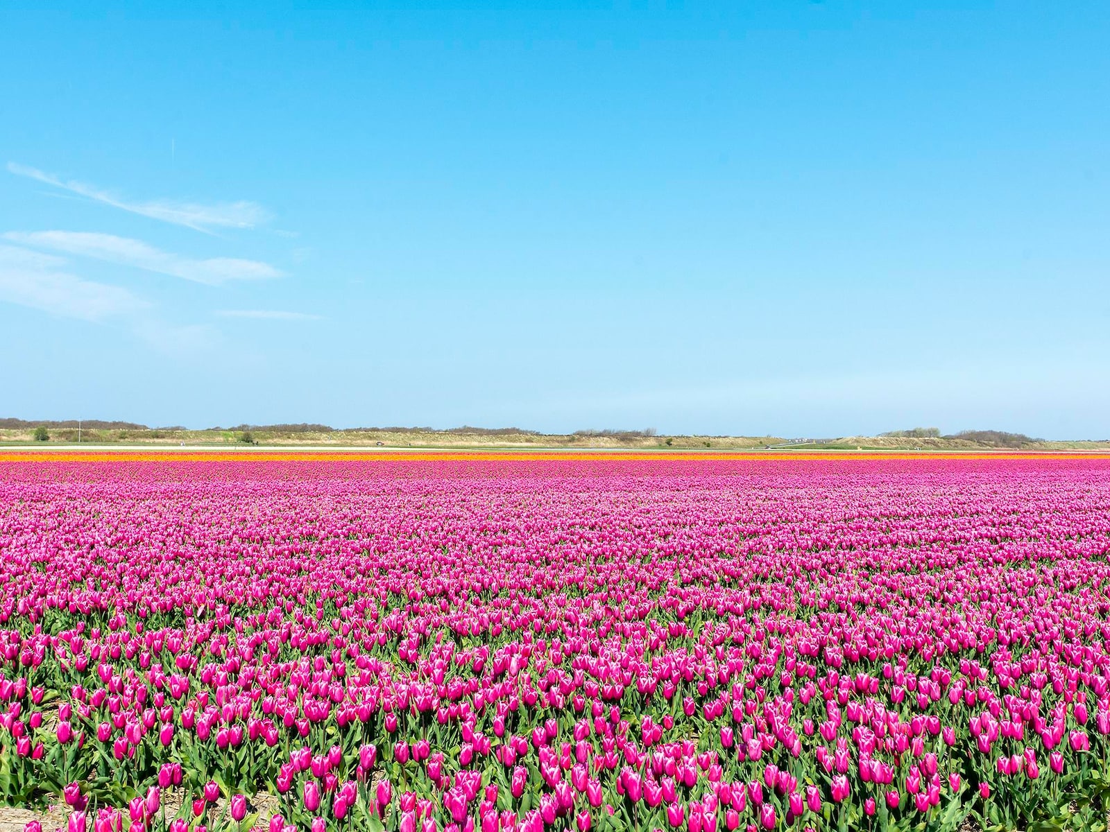 De omgeving van Julianadorp aan zee