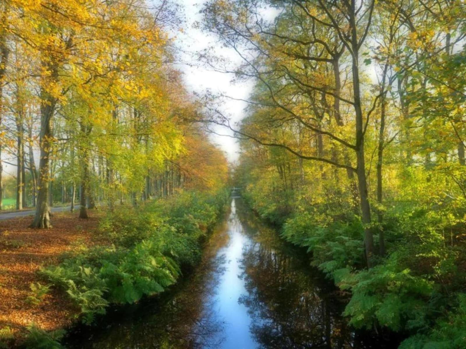 De omgeving van Delfstrahuizen