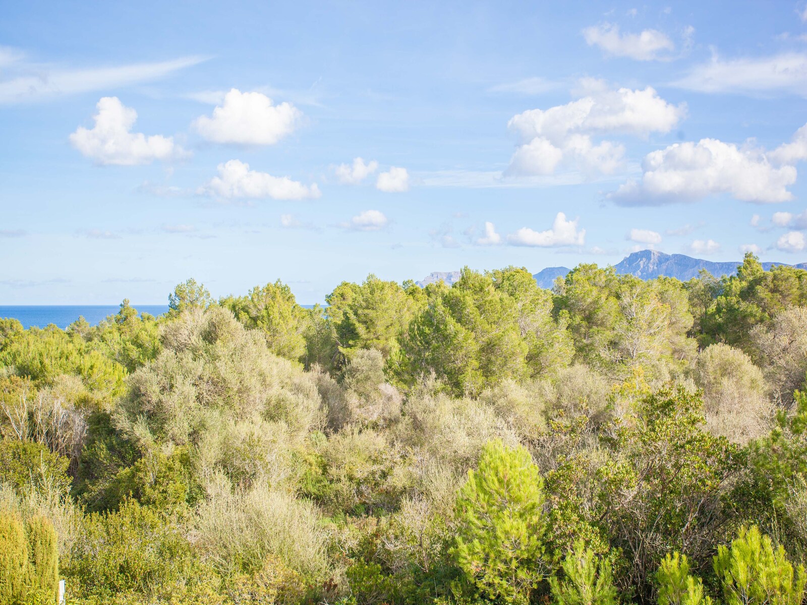 De omgeving van Son Serra de Marina