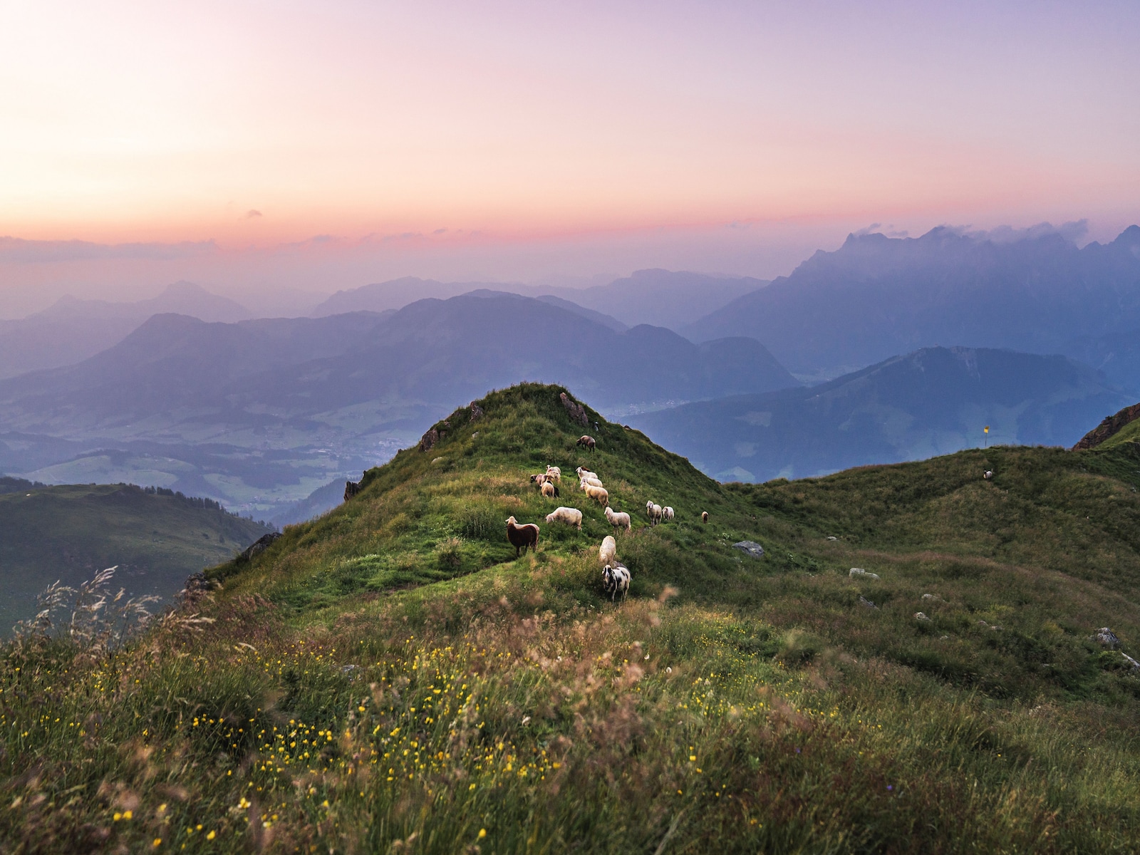 De omgeving van Reith bei Kitzbühel